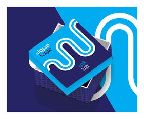 wasla 融合科技与潮流的电子产品品牌形象设计